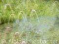 2025-08-06-021-