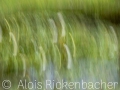 2025-08-06-022-