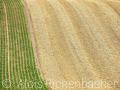 2013_07_20_144121-