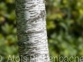 2026-08-07-014-