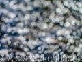 2026-09-12-029-