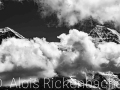 2020_07_25_007-