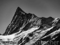 2020_07_27_009-