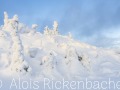 2020_01_12_010-