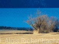 2014_03_07_075511-