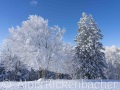 2022-12-11-005-