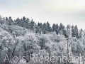 2025-01-04-003-
