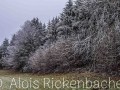2025-12-25-012-