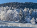 2025-12-27-004-