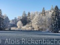 2025-12-27-006-